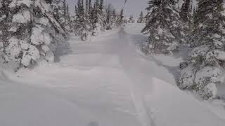 [SLEDCORE] - Snowbiking in Newfoundland