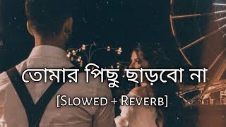 Tomar Pichu Charbo Na | Slowed And Reverb | Nahid Hasan | Bengali Lofi Songs | 10 PM BENGALI LOFI