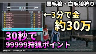 狩猟ポイント・お金稼ぎ・強敵のLv調整方法解説/ 真三國無双8 DYNASTY WARRORS9