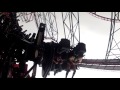 absoultely crazy 4th dimension roller coaster pov insane dinoconda ride in china