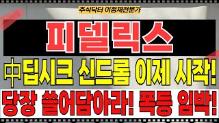 피델릭스 주가전망 - 중국 딥시크 AI 신드롬! 이제 시작! 정부 공공기관 금융권 민간 기업들 정보유출우려?! 다운로드 1위! 당장 쓸어담아라! 폭등 임박!