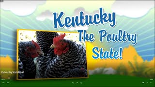 Kentucky Farms Feed Me - Visit Kentucky Poultry Farms