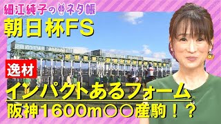 【２歳マイル王決定戦】朝日杯フューチュリティステークス『細江純子のネタ帳』