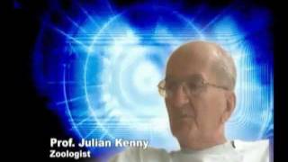 Professor Julian Kenny