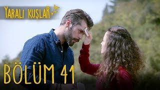 Yaralı Kuşlar 41. Bölüm