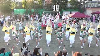 天狗連  第10回 馬橋盆踊り