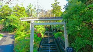 日本神社 屋久島 Yakushima 4K Video 保食神社 Hojoki Shrine