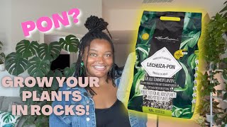 PON 101: A BEGINNERS GUIDE to Lechuza PON? | COMPLETE Care Guide