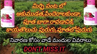 chilli crop cultivation | mirchi crop in telugu | mirchi crop farming | red chilli crop farming