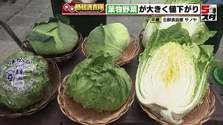 【野菜の価格】ハクサイの仕入れ価格が250円下落　高値続いた葉物野菜が消費者の買い控えで値下がり【価格調査】 (2024年4月10日)