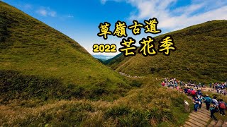 2022草嶺古道芒花季｜秋意濃！北部最夢幻銀白浪海 | (福隆 →大里)路線實走 | Osmo Action 3 實拍測試