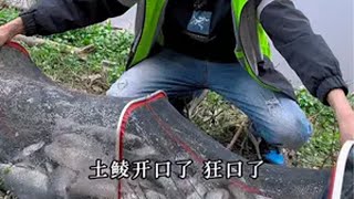 探钓清远滃江土鲮，没想到居然爆护了。原来钓鱼才是抖音运动顶流