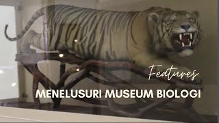 Menelusuri Museum Biologi Yogyakarta | FEATURES