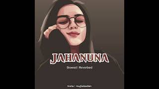 Jahanuna |Slowed - Reverbed | Alizeh khan | Pushto Song