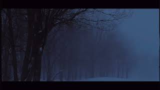 The Dearly Departed - The Woods (Official Lyric Video)