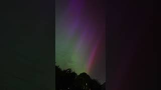 Northern lights over OXFORD - 11th May 2024 #shorts #aurora