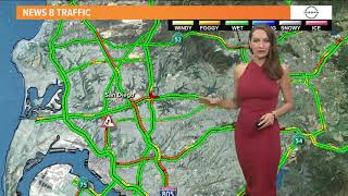 Snollygoster | Jenny Milkowski 9-9-21