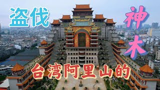 被盗伐的台湾阿里山神木都在这里｜广西玉林云天文化城｜摩旅中国1