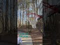 The Bostonian shoots a brick #shorts #brick #basketball￼ #funny