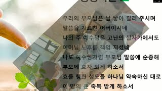 DICS 2022년 봄학기 성경적 효 캠프