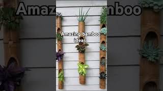 Bamboo ideas#bamboo /