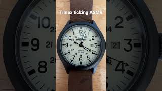 Timex Expedition watch loud ticking ASMR