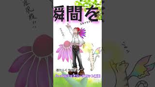 エキナセア師匠は『瞬間を生きるっ‼️』