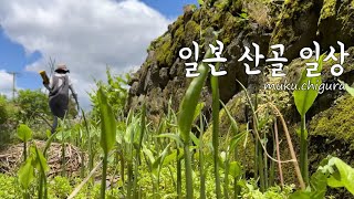 일본 산골 일상 / 아프면 하고 싶은 걸 못해요 / muku・chi蔵 : DIY\u0026정원 / SlowLife