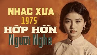 Nhạc Xưa 1975 Hớp Hồn Người Nghe - Tuyển Tập Nhạc Xưa 1975 Hiếm Có Khó Tìm, Hiếm Người Còn Nhớ