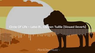 Circle Of Life - Lebo M., Carmen Twillie {Slowed Reverb} [The Lion King Ost]
