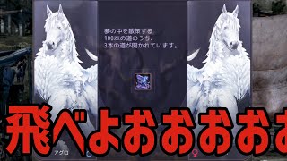 【絶望】「微睡みの幻想馬チャレンジ10連」で僕が永遠の眠りにつきました。【黒い砂漠PC】