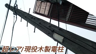 【☎令和になっても現役 びっくり木製電柱】恵比寿(東京)にある昭和?からの超レアな現役木製電信柱(NTTプレート付)流石に電電公社ではありませんでした