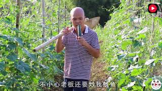 农村小伙一首新《打工行》绝对没听过，上班一族的心声