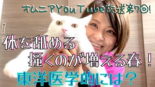 体を舐める･掻くのが増える春！東洋医学的には？？