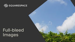 Full-bleed Images | Squarespace 7.1