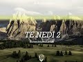 Kurdish Trap ⊳Te nedi 2⊲ /prod.karambit