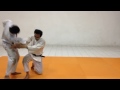 suisen kan aikido hanmi handachi katate tori shihonage waza with variations