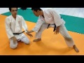 suisen kan aikido hanmi handachi katate tori shihonage waza with variations