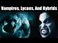 Every Supernatural Species From Underworld Explained