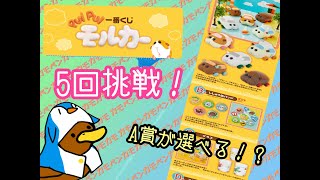 【モルカー】A賞が選べる、PUI PUIモルカー一番くじ引いてきた。【一番くじ】