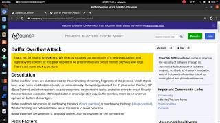 OWASP 6-Buffer Overflow