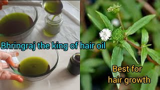 how to make bhringraj oil for hair growth, homemade bhringraj oil#bhringraj#hair growth oil