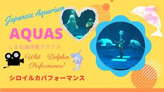 しまね海洋館アクアス・シロイルカパフォーマンス（Japanese　Aquarium）