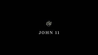 John 11 - English Standard Version (ESV)