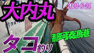 【大内丸タコ釣り】2024 -6 -24 那珂湊港よりエギタコ釣りに行ってきました。