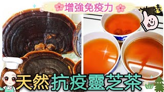 增強免疫靈芝茶 @愛煮家 （55） 靈芝茶煮法推薦有哪些？想要好氣色，喝靈芝茶準沒錯！❤️🥰