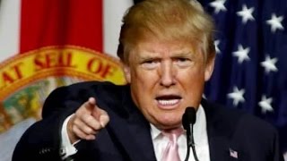 Donald Trump responds to 'small hands' insult