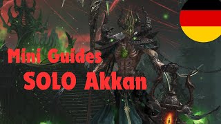 Solo Akkan - Mini Guides - Lost Ark