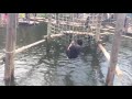 清水公園 水上コース 水没