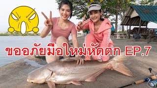 (ขออภัยมือใหม่หัดตกEP.7) วิธีตกปลาสวายด้วย ตะกร้อวิ่ง by fishingEZ